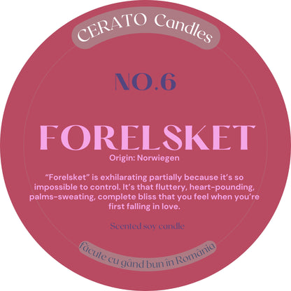 NO.6 - Forelsket