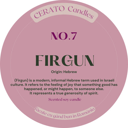 NO.7 - FIRGUN